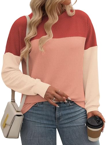 Image of DOLNINE Plus Size Tops for Women Long Sleeve Color Block Ribbed Knit Tunic