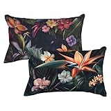 Kopfkissenbezug 50x70 2er Set Kissenbezug Farbe Weiche Samt Zierkissen Blumen Kissenbezüge Doppelseitig Drucken Sofakissen Pillow Case, Modern Deko Kissen für Deko Schlafzimmer Zimmer Balkon p0q-438