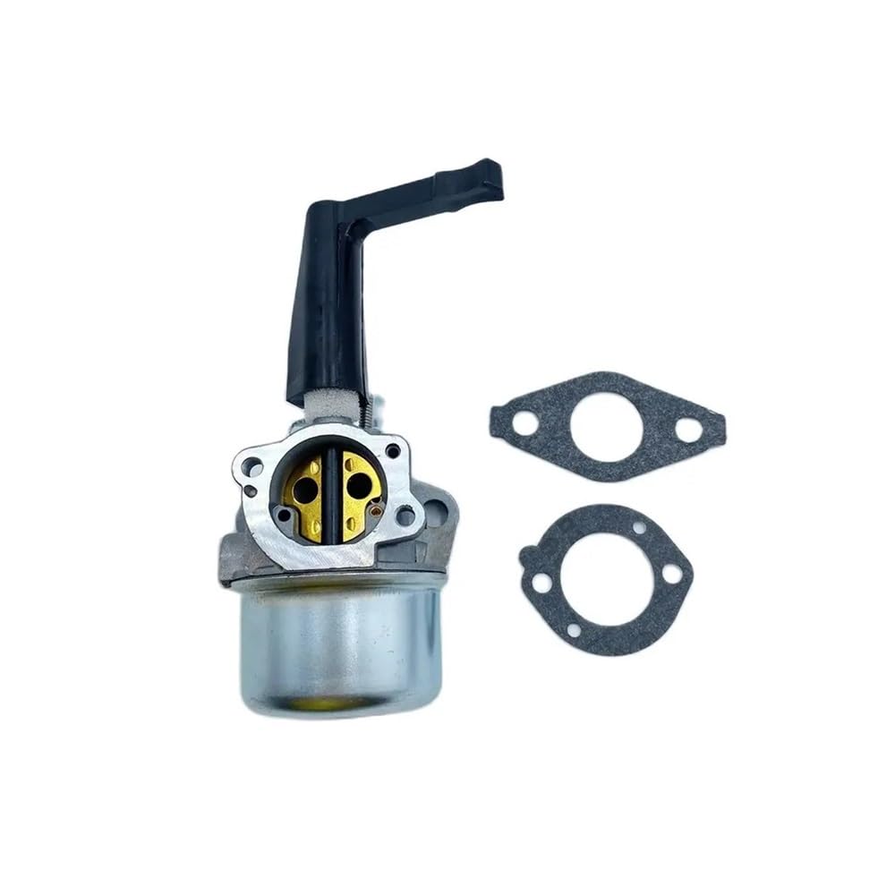 Carburateur BS 696065 haute durabilité avec joint pour moteurs 697422