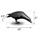 NACH Cast Iron Crow Statue, Head Down Raven, Large Garden Statues, Crow Garden Sculpture, Bird Figurines Home Decor, Crow Decor, Raven Decor, Black Bird Statue, 10 x 3.5 x 6 inches, JS-90-7117