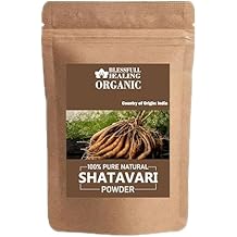 Blessfull Healing Organic Shatavari Powder 100% Pure Natural 100 Gram / 3.52 oz