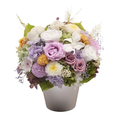 vU[uht[  dp   uU[ht[  KXh[ ybg  e J[l[V   AWg ybĝ   ފ ~ V~ ~ 䋟 l\  ʎ Q