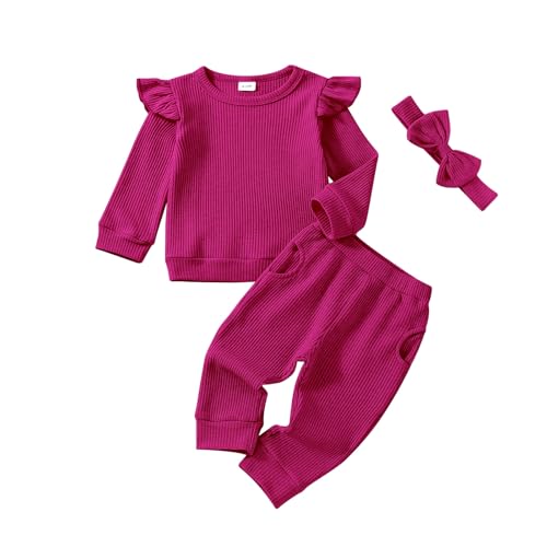Baby Girl Clothes Fall Winter Outfits Infant Toddler Girls Outfit Long Sleeve Sweatshirt Pants Headband Outfits Set