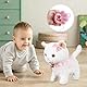 Lotvic Interaktives Haustier Katze, Spielzeug Katze für Kinder, Interaktives Plüschtier Katze mit Gehen, Bellen, Schwanzwedeln, Realistische Interaktive Haustierkatze, für Kinder ab 2 Jahren