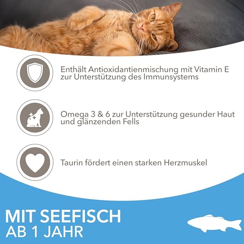 IAMS Katzenfutter trocken mit Fisch - Trockenfutter für Katzen im Alter von 1-6 Jahren, 10 kg