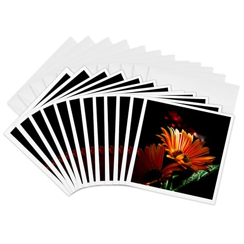 Cartes de vœux marguerite orange pour célébrer vos moments précieux