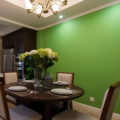 RAUSHIK Plain Wallpaper Roll for Home & Office Décor | Self-Adhesive PVC Sheet for Walls, Furniture & Craft | Easy to Apply & Clean Decorative Wallpaper - Color Light Green, Size 2 * 3 feet