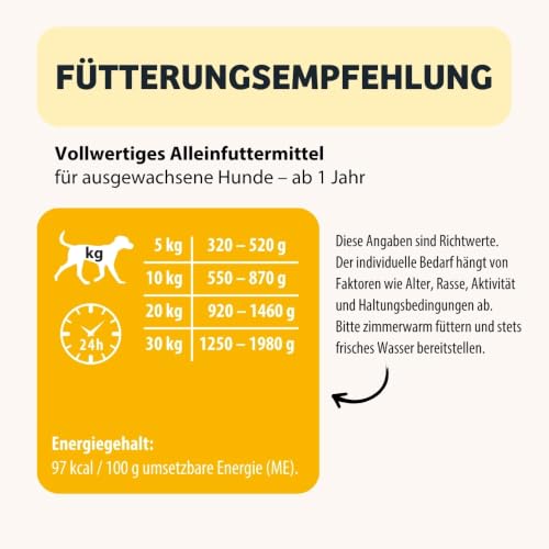 BugBell 400g Nassfutter, Pflanzlich & Vollwertig, Purinarm , Napferlebnis mit Jackfrucht, für aktive Hunde, Banane & Chia & L-Carnitin als Energielieferanten, hergestellt in DE