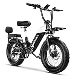 Electric Bike for Adults, 48V 20Ah, 20'x4.0 Fat...