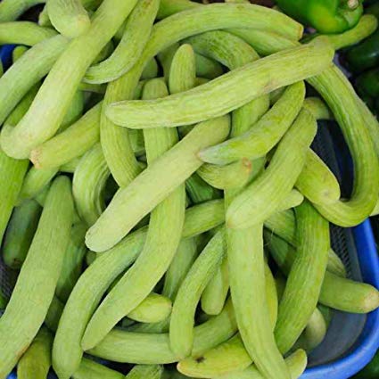 Creative Farmer Vegetable Seeds Long Melon/Kakri Seeds - Long Melon ?Seeds Plant Seeds Home Garden Seeds (B07N47WW2X) Amazon Price History, Amazon Price Tracker