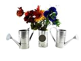 3pc 1 Qt Galvanized Watering Cans for Gardening or Floral Arrangements