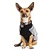 Reddy Grey Tonal Colorblock Dog Sweater, XX-Large