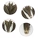 Lowats Fasan Federn 20 Stück Fasan Schwanzfedern Natural Craft Feather Natur Dekoration Hahnfeder Natürliche Hahnenfedern Fasanenfedern ​Basteln Federn 25-30cm für Basteln Zuhause Dekor