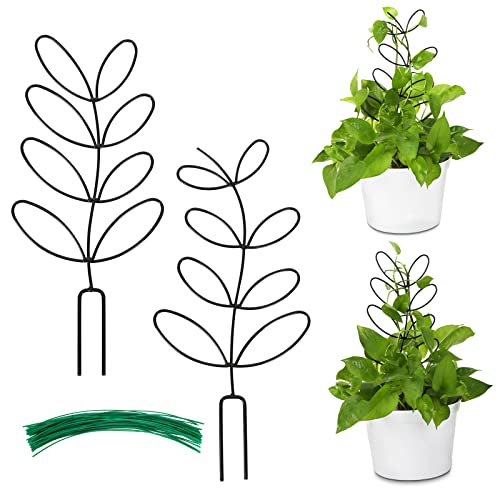 AUGSUN 2 Packs Indoor Plant Trellis Garden Trellis for Climbing Plants, 12 Inch Metal Leaf Shape Small Trelli for Potted Plants Plant Support for Houseplant with 50 Ties
