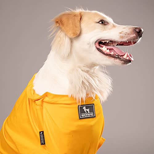 Image of HUFT Best Dog Ever T-Shirt for Dog - Yellow - S