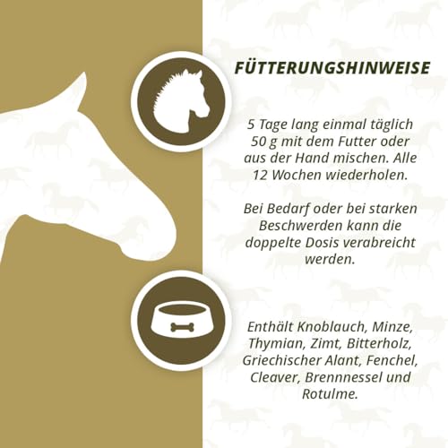 Excellent Equi Parex Pellets - 750gr - Trägt zu Einer gesunden Magen- und Darmflora bei - Verdauung Unterstützen - Kräuterfutter - Darmkur - Geeignet für Pferde