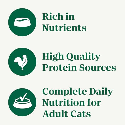 Image of Nutro Cuts in Gravy Wet Cat Food, Salmon & Chicken, 2.6 oz, 12 Count, 2pack