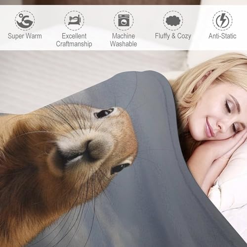 Manta de forro polar de marmota para sofá cama 180x200 cm 5