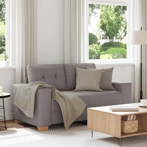 sephironlbb Sofá Loveseat de tela topo, 160 x 77 x 82 cm, sofá de dos plazas con acolchado cómodo, marco resistente, versátil para salón, habitación de invitados, salón y relajación