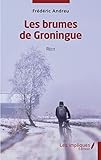 Les brumes de Groningue: Récit