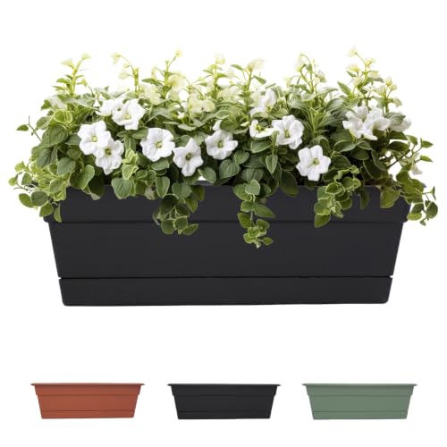 Bloem Dura Cotta Window Box