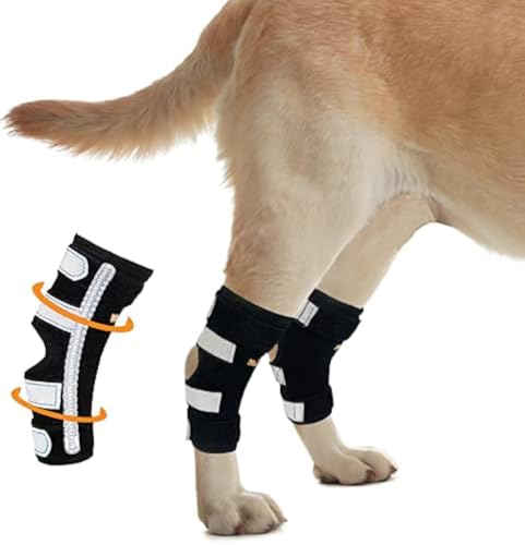Image of NeoAlly Dog Canine Braces for Rear Legs Super Supportive with Dual Metal Spring Inserts to Stabilize Dog Hind Legs, Help Dogs with Injuries, Sprains, Arthritis, ACL (S Pair)