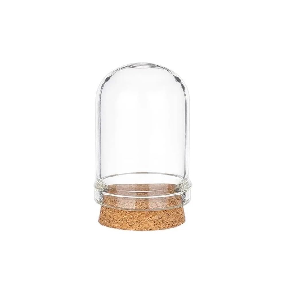 Wyqxty One Color Clear Glass Cloche Display Glass Cloche Bell Jars Display Dome 3X5cm 12Pcs For Flower Storage