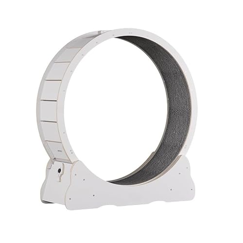 猫の車輪 キャットホイール 小/中/大型猫 ルームランナー 回し車 猫爪とぎ ロック装置内蔵 TPE静音低ノイズローラー 環境に優しい素材 飼い猫の運動不足を改善 低騒音 組み立て簡単 室内 (小型犬に適しています) (ホワイト-無垢材,L(5-7.5kg