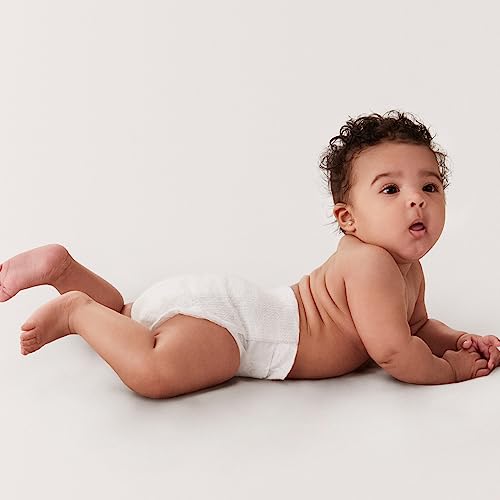 Coterie Newborn Diapers + Wipes Baby Starter Set (291 diapers)