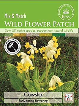 Thompson & Morgan - Kew - Wild Flower Patch - Cowslip - 100 Seeds