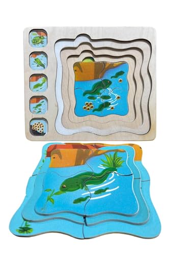 Image of Frog Life Cycle Layering Puzzle for Kids, Wooden Puzzle to Learn Frog Lifecycle, Ages 2+ | Maze Game Weather Calendar Clock -Interactive Weather & Time Learning | Combo Pack of 2