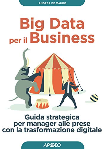 Big Data per il Business