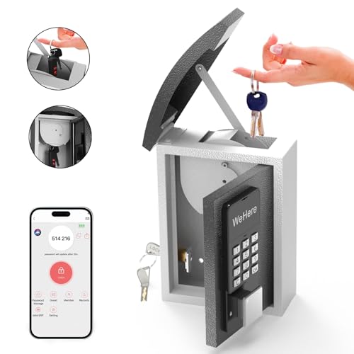 キー ロック ボックス 使用 OTP/固定 パスワード/アンロック メタル デジタル コンビネーション コード ロック ボックス キー ボックス ウォール マウント 外側 ハウス キー シェア/ストレージ セキュリティ用 最適 不動産業者 請負業者 学校用 キー ボック