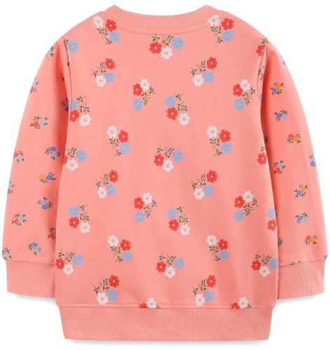 Image of Hongshilian Unisex Kids Cute Cartoon Cotton Sweater Shirt