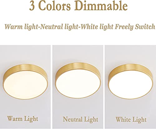 Plafonniers à LED ultra-minces dorés à intensité variable dorée - 4
