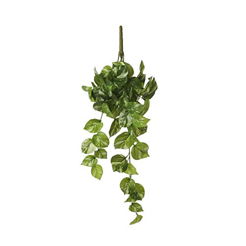MICA Decorations Pothos Plante Artificielle à Suspendre 58 cm Cover