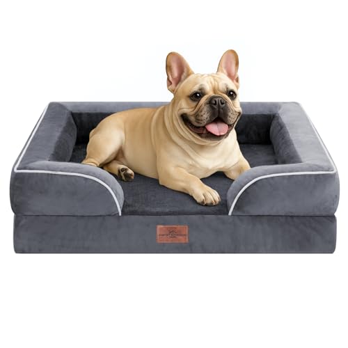 Comfort Expression Cama ortopédica para perros medianos de 30 x 20 pulgadas, cama mediana de espuma con forma de caja de huevos de apoyo impermeable con cojín extraíble, sofá para perros con funda