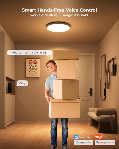 Matane LS-CL-G4-24W-DIM-APPICRGB Smart Led Ceiling Light Wifi, Rgb Ceiling Light Fixture thumb #3