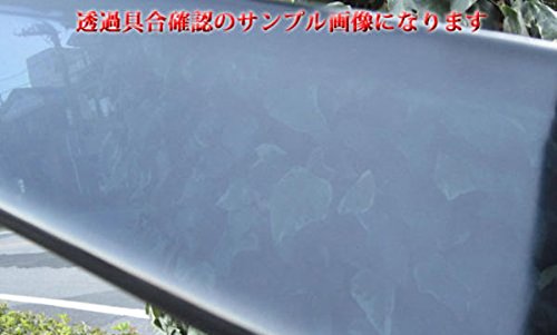 IS250 GSE25 ブラックスモークサイドバイザー 金具モール付