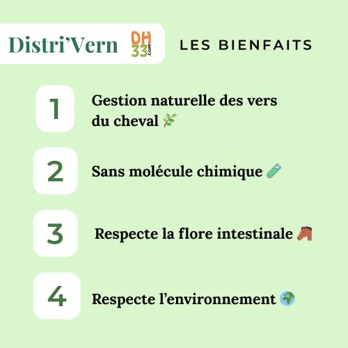 Vermifuge Naturel Cheval Pâte – Régulation des Parasites Intestinaux, Flore Digestive Préservée – Formule Plantes (Thym, Ail, Absinthe) – Injecteur Oral Facile – Fabriqué en France (Vern_Pack_10)