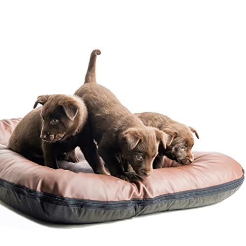4L Textil Ella Hundebett für Große Hunde - Wasserfestes Kunstleder Hundekissen Matratze (110x90 cm, Braun)