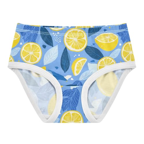 Wusikd Lemon Blue Girls' Underwear Cotton Girls Briefs Soft Toddler Underwear 2T