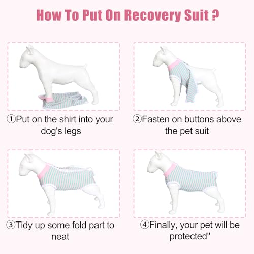Image of FEimaX Dog Surgery Recovery Suit Female and Male Spay with Pee Hole, Pet Body Suits for Puppy After Spayed, Neuter Surgical Onesie for Small and Medium Dogs Cats, Alternative Bandages E-Collar & Cone