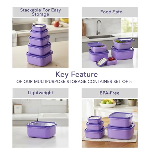 Image of Nayasa Easy Funk Containers (11-15) (250ml + 650ml + 1 + 1.5 + 2.2 L) BPA Free Food Grade Airtight Kitchen Storage Stackable Containers, Purple