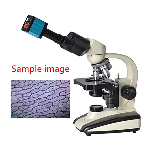 Image of 37MP 1080P 60FPS USB Industrial Microscope Camera with Conversion Adapter for Enhanced Imaging (US Plug)