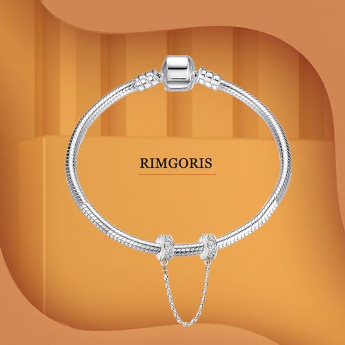 925 Sterling Silver for Women Bracelets Necklace Safety Chain Clips Heart Rose Gold Cup Airplane Planet Travel Easter Egg Dangle Charm2