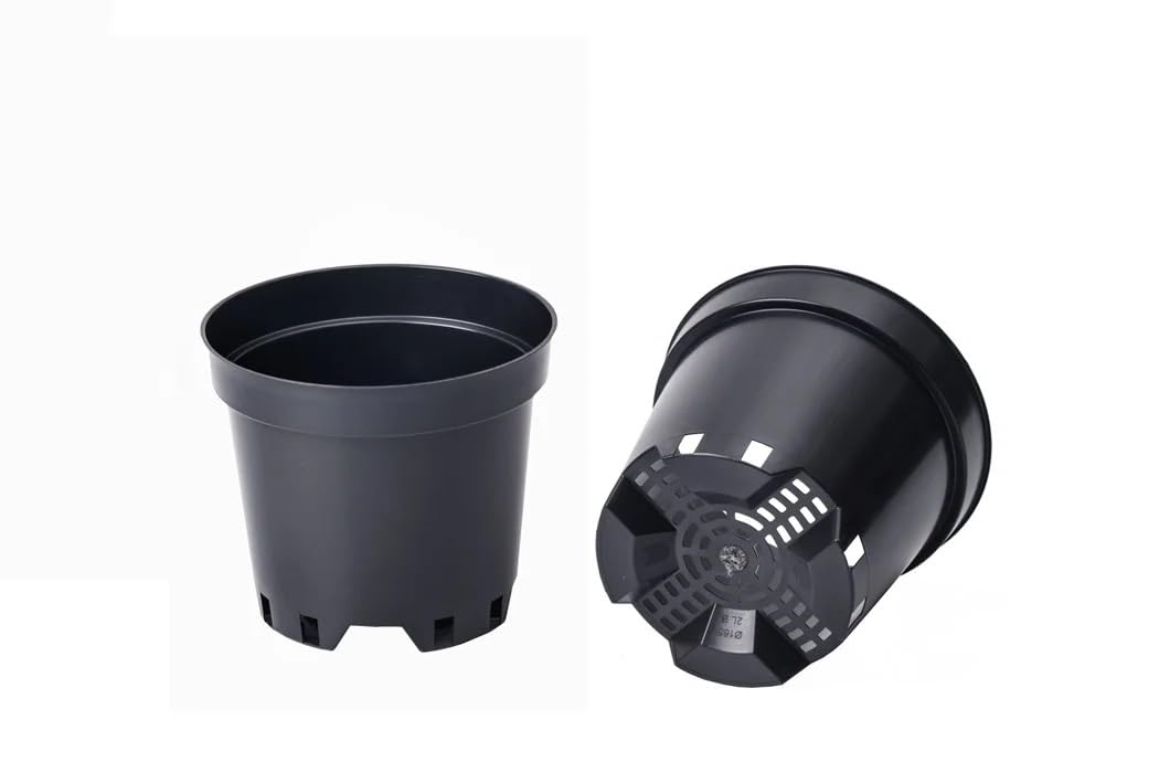 Muddy Hands Black Plastic Plant Pots - Ideal for Growing Blueberries - Outdoor Garden Round Nursery Seed Planters (2, 2 Litre) โ image 1
