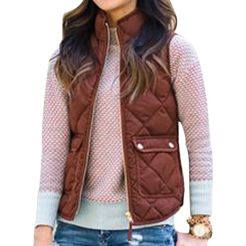 Women Puffer Vest Sleeveless Stand Collar Zip Up Lightweight Padded Down Vest Winter Warm Coats Outerwear