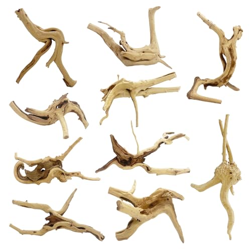 GDMYST 10 Pcs Natural Small Spiderwood for Aquarium, Aquarium Driftwood Freshwater 4-6 Inch, Assorted Size Spider Wood, Twisted Branches for Fishtank Accessories, Reptile Terrariums Decorations