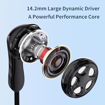 TRN HiFi Flat IEM Earphones,14.2mm Large Dynamic Driver Unit in Ear Monitor Headphones,Inears iems for Gaming,Ear Buds Wired (Type C-with mic, Black)